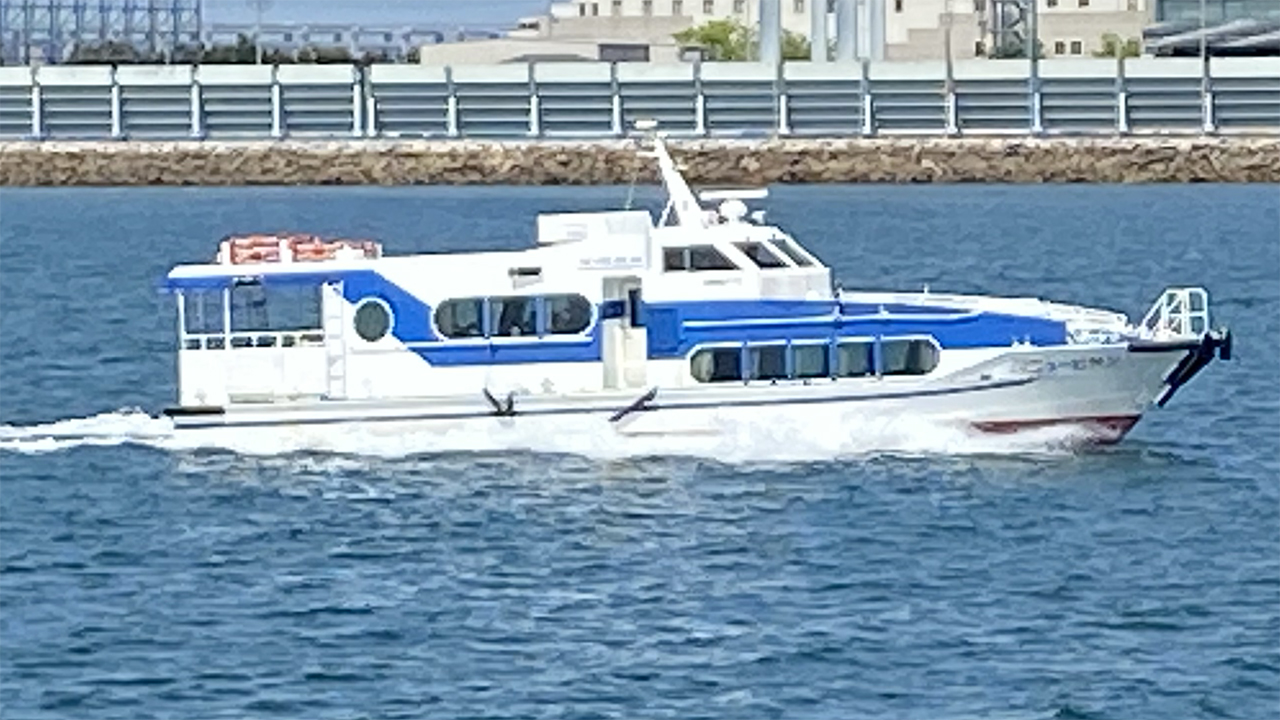 旅客船 ニュービサン