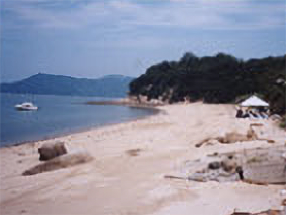 海水浴場(青木港近く)